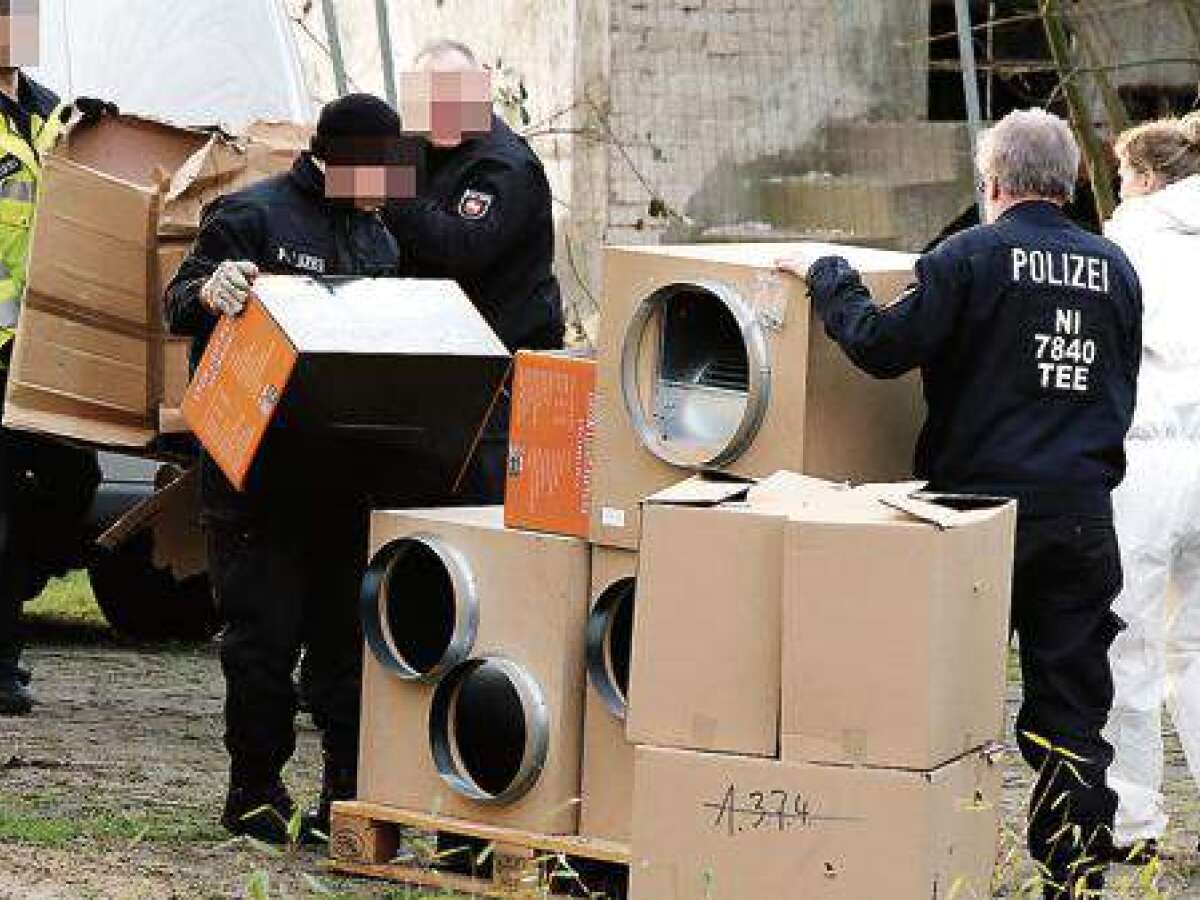 Bedeutender Schlag Gegen Drogenring