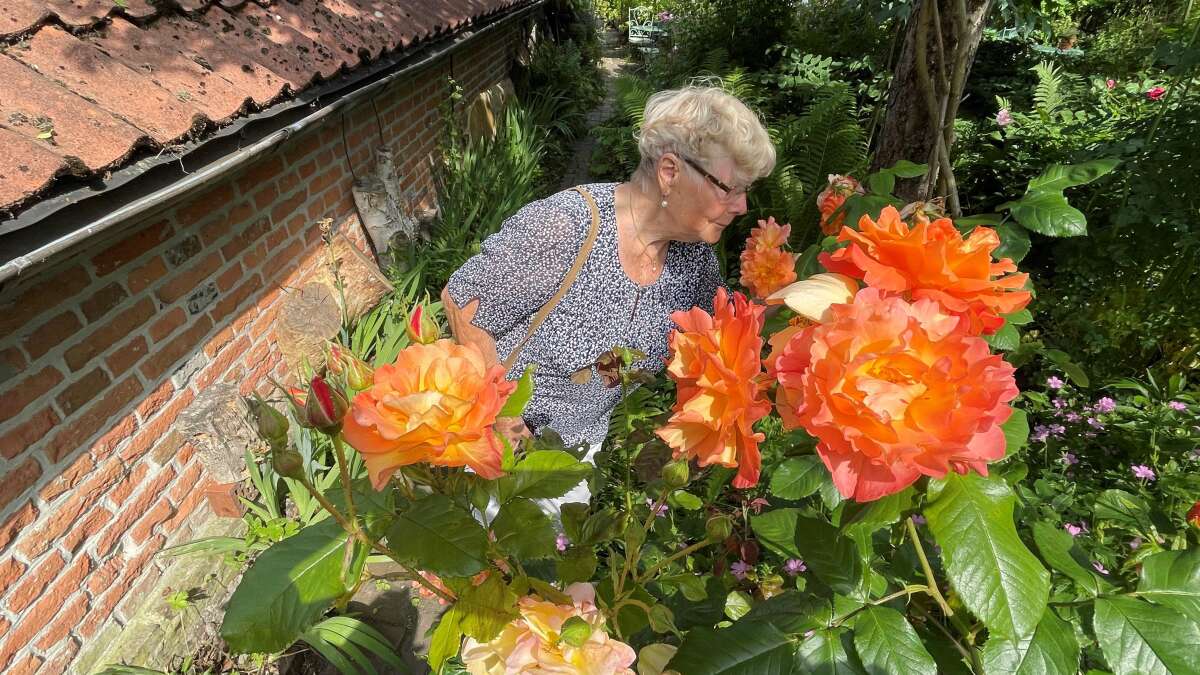 Tage der offenen Gärten 20 Familien laden ein