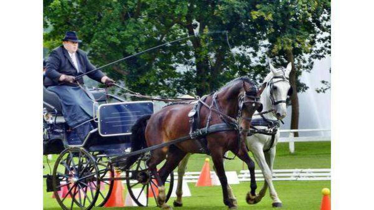 64. Oldenburger Landesturnier