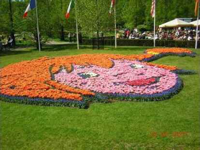 Da lacht die Blumenwelt! Mehr florale Gr&uuml;&szlig;e aus den Niederlanden sendet Klaus-Peter Tuchscherer auf .