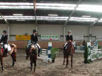 Weiterhin dreht es sich in der Bildergalerie um Tiere, jetzt aber um etwas gr&ouml;&szlig;ere mit vier Beinen. N@chbar Uwe Haesihus hat einmal beim Reitturnier in Petersfehn vorbeigeschaut.