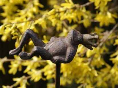 Bei diesen fr&uuml;hlingshaften Temperaturen l&auml;sst es sich nicht nur der Froschk&ouml;nig in Robin H&uuml;neckes Garten gut gehe. Die Bilder dazu hat sein 