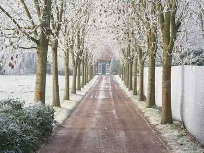 Wir bleiben noch bei den winterlichen Eindr&uuml;cken der vergangenen Wochen: Auch beim Anblick dieser Allee l&auml;uft es dem Betrachter kalt den R&uuml;cken runter.