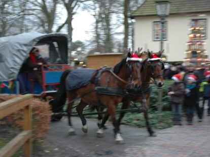 Tausende von Besuchern waren zum Neuenburger Weihnachtsmarkt gekommen und vergn&uuml;gten sich an den St&auml;nden, wo Spezialit&auml;ten und Spiele angeboten wurden.