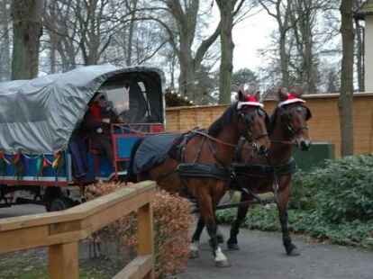 Tausende von Besuchern waren zum Neuenburger Weihnachtsmarkt gekommen und vergn&uuml;gten sich an den St&auml;nden, wo Spezialit&auml;ten und Spiele angeboten wurden.