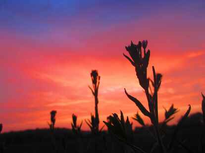 Viele unserer N@chbarn sind fasziniert von den sch&ouml;nen Sonnenaufg&auml;ngen und -unterg&auml;ngen, die sich uns in diesem Sommer bieten. So auch unser N@chbar Heinz Friedrichs.