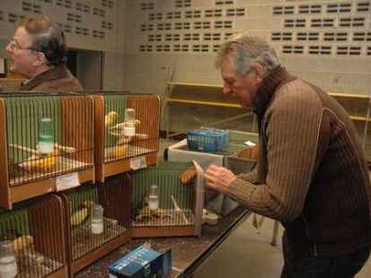 Zahlreiche Besucher waren zur Friesland-B&ouml;rse in der Weberei gekommen, wo zahlreiche Z&uuml;chter V&ouml;gel wie Wellensittiche, Kanarienv&ouml;gel, Ziertauben und Wachteln anboten.