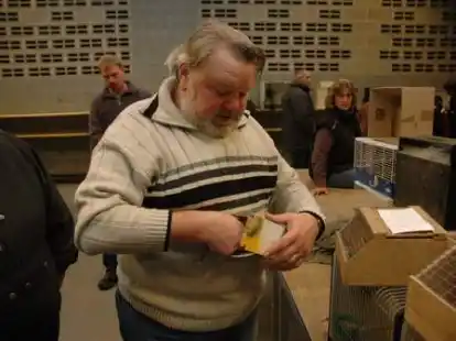 Zahlreiche Besucher waren zur Friesland-B&ouml;rse in der Weberei gekommen, wo zahlreiche Z&uuml;chter V&ouml;gel wie Wellensittiche, Kanarienv&ouml;gel, Ziertauben und Wachteln anboten. Siegfried Kranz aus Nordenham z&auml;hlte zu den Verk&auml;ufern.