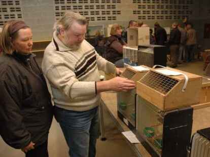 Zahlreiche Besucher waren zur Friesland-B&ouml;rse in der Weberei gekommen, wo zahlreiche Z&uuml;chter V&ouml;gel wie Wellensittiche, Kanarienv&ouml;gel, Ziertauben und Wachteln anboten.