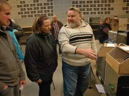 Zahlreiche Besucher waren zur Friesland-B&ouml;rse in der Weberei gekommen, wo zahlreiche Z&uuml;chter V&ouml;gel wie Wellensittiche, Kanarienv&ouml;gel, Ziertauben und Wachteln anboten.