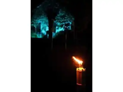 Am 5. November pr&auml;sentierten sich die Rasteder Stra&szlig;en in einem ganz besonderen Licht. N@chbarin Silke Lorenz hatte ihre Kamera bei der Rasteder Lichternacht dabei.