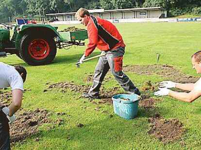 In m&uuml;hevoller Handarbeit haben (von links) Keno Hagedorn, Bastian Flege und Platzwart Uwe Kricke die lockeren Grassoden abgeharkt.