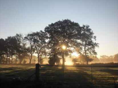 Die sch&ouml;nen Tage des Herbstes hat auch N@chbar Heinz Friedrichs auf den Kamerachip gebannt. Dieser Sonnenaufgang im Nebel strahlt sehr viel Ruhe aus.