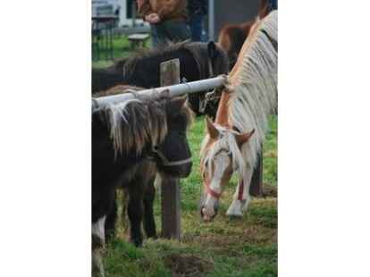 Alle Eindr&uuml;cke sind in der Bilderstrecke auf  zu finden.