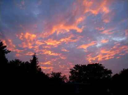 Auch die Natur hat viele Farben zu bieten, wie Rosemarie Rocker auf  zeigt.