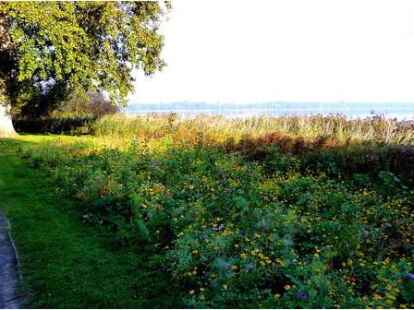 In der Natur hat auch in dieser Woche wieder N@chbar Eberhard Unruh Impressionen gesammelt. Rund um den Kurpark in Bad Zwischenahn bl&uuml;ht und sprie&szlig;t es, so holt der Herbst Einiges nach was der Sommer verpasst hat.