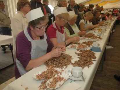 Kutterregatta in Fedderwardersiel