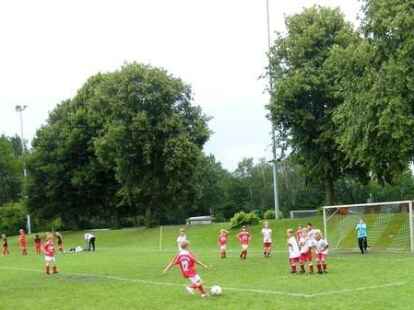 Achtung, gef&auml;hrliche Freisto&szlig;distanz! Einen Blick auf den Wiefelsteder Nachwuchs k&ouml;nnen Sie auf  werfen.