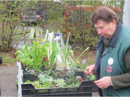 Kunden kamen schon, als die St&auml;nde noch gar nicht richtig aufgebaut waren. Das wird auch die Verk&auml;ufer gefreut haben. Mehr Bilder vom Pflanzenflohmarkt finden Sie auf .
