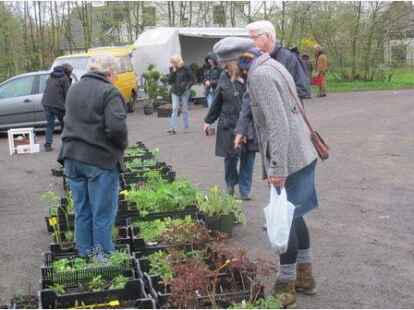 Ganz ohne Hasen veranstaltete der B&uuml;rgerverein Etzhorn zum vierten Mal einen Pflanzenflohmarkt. Trotz des schlechten Wetters wurde der Markt gut besucht.