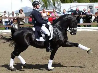 Der Deutsche Matthias Alexander Rath auf Totilas reitet am Sonnabend  in Hagen a.T.W. (Landkreis Osnabr&uuml;ck) bei der Internationalen Dressurpr&uuml;fung im Rahmen der Reitsportveranstaltung Horses & Dreams.