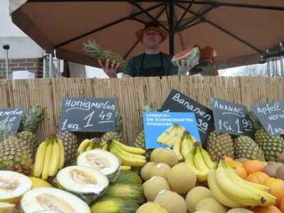 36. Friesoyther Maitage