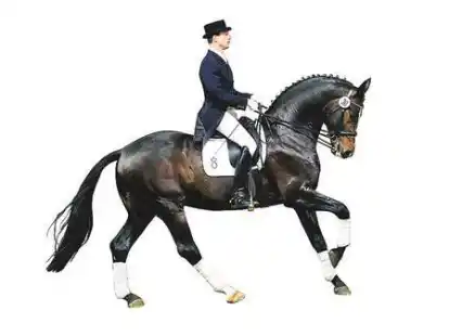 190 000 Euro-Pferd: Awakino Spirit of the Age Erfahrener Auktionator: Uwe Heckmann (links) sorgte f&uuml;r Spannung