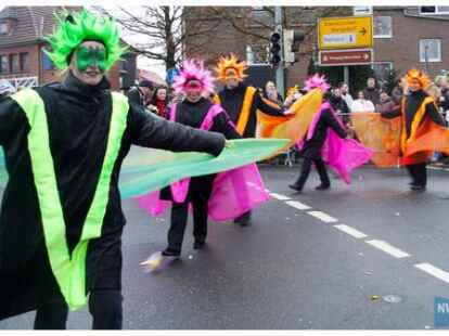 45 Wildeshauser Faschingsmiezen