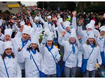 79 Die lustigen Faschingscham&auml;leons