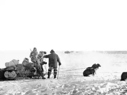 Die Expedition des norwegischen Polarforschers Roald Amundsen 1911 auf dem Weg zum S&uuml;dpol. Bis zu minus vierzig Grad kann es am S&uuml;dpol kalt sein  im Sommer. Trotzdem machen sich immer wieder Menschen auf den Weg zum s&uuml;dlichsten Punkt der Erde.