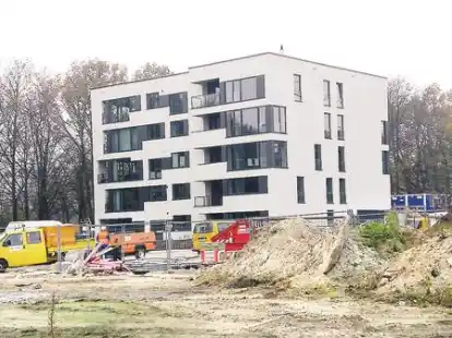 Der Stadtwerder wird derzeit bebaut. Doch Bremen fehlt Wohnraum, die Wohnungsbaukonzeption des Senats sei zu defensiv, sagt eine gestern vorgestellte Studie