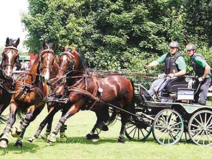 Der Deutsche Meister der Viersp&auml;nner Christoph Sandmann aus L&auml;hden gewann die Klasse auf dem Fahrturnier in Friesoyth