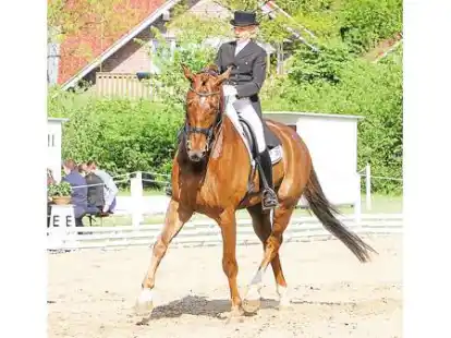 Hat wieder f&uuml;r das Dressur- und Springturnier des RV H&ouml;ven gemeldet: Silvia Kuffner vom RV Ganderkesee