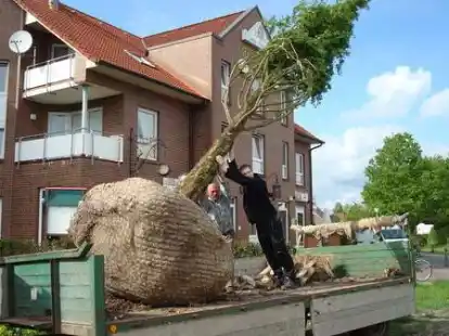 Kleiner Baum mit gro&szlig;er Wurzel und auch gro&szlig;er Wirkung! N@chbarin Agnes Lamping fotografierte f&uuml;r uns das Spektakel der Solit&auml;rbepflanzung eines Mammutbaumes als Mahnmal in Bar&szlig;el. Der Baum soll hier Wurzeln fassen, was gar nicht so leicht aussieht...