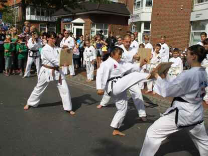 Beim B&uuml;rgerfest herrschte im Huder Ortskern buntes Treiben.