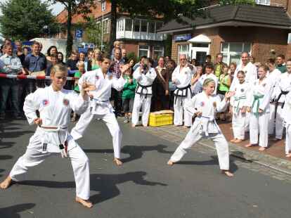 Beim B&uuml;rgerfest herrschte im Huder Ortskern buntes Treiben.