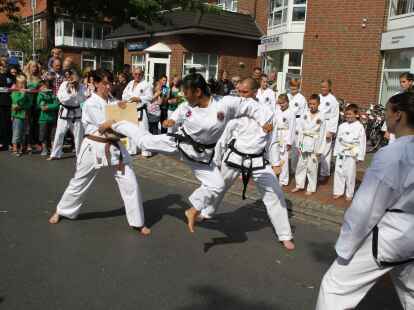 Beim B&uuml;rgerfest herrschte im Huder Ortskern buntes Treiben.