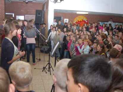 Gemeinsam Musizieren: Gemeinsam haben die polnischen und die deutschen Sch&uuml;ler &bdquo;Fireflies&ldquo; von Owl City geprobt und dann vorgetragen.