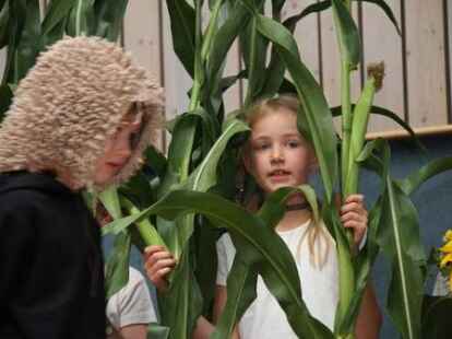 Einschulung der Erstkl&auml;ssler an der Grundschule in Harpstedt.