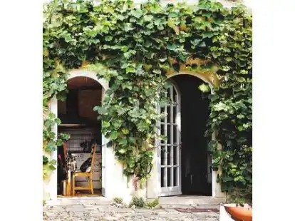 Ein gr&uuml;nes Bl&auml;tterkleid sch&uuml;tzt nicht nur die Fassade vor Witterungseinfl&uuml;ssen, sondern sorgt auch f&uuml;r ein angenehmes Klima.