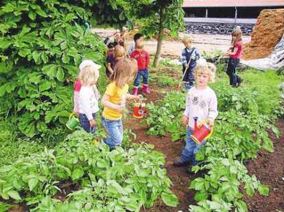 T&uuml;chtig geackert haben die M&auml;dchen und Jungen der Kindertagesst&auml;tte &bdquo;Sonnenblume&ldquo; jetzt auf dem Hof Wigbers in Bethen.