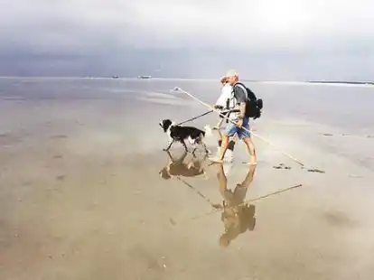 Wolfgang Gedat bietet Wattwanderungen mit Hunden an.
