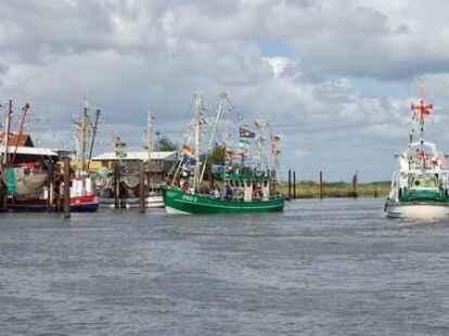 H&ouml;hepunkte der Kutterregatta in Fedderwardersiel waren die G&auml;stefahrten sowie der Besuch des Seenotrettungskreuzers 
