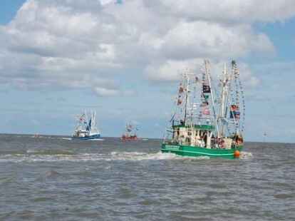 H&ouml;hepunkte der Kutterregatta in Fedderwardersiel waren die G&auml;stefahrten sowie der Besuch des Seenotrettungskreuzers 