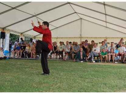 Zum 10. Mal hatte der Tai Chi Chuan Bremen zum 