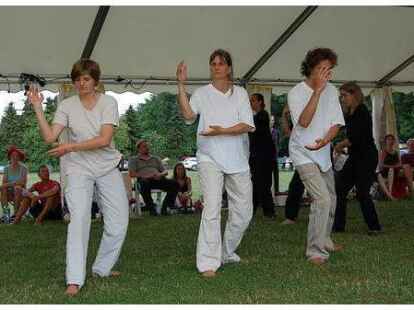 Zum 10. Mal hatte der Tai Chi Chuan Bremen zum 