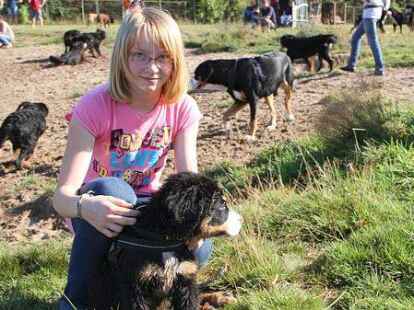 Unter Hunden: Scharleene (11) aus Bookholzberg mit der Berner Sennenh&uuml;ndind Whoopie (12 Wochen)