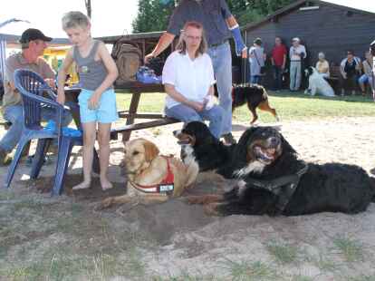 Berner Sennenhunde Sch&ouml;nemoor Hundetreffen Treffen Tierpension