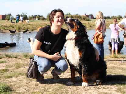 Berner Sennenhunde Sch&ouml;nemoor Hundetreffen Treffen Tierpension