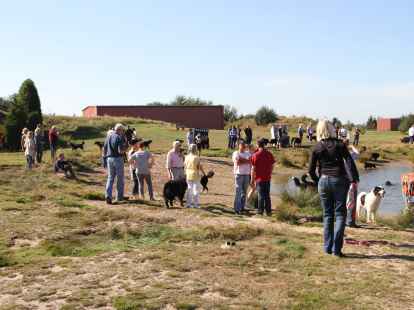 Berner Sennenhunde Sch&ouml;nemoor Hundetreffen Treffen Tierpension